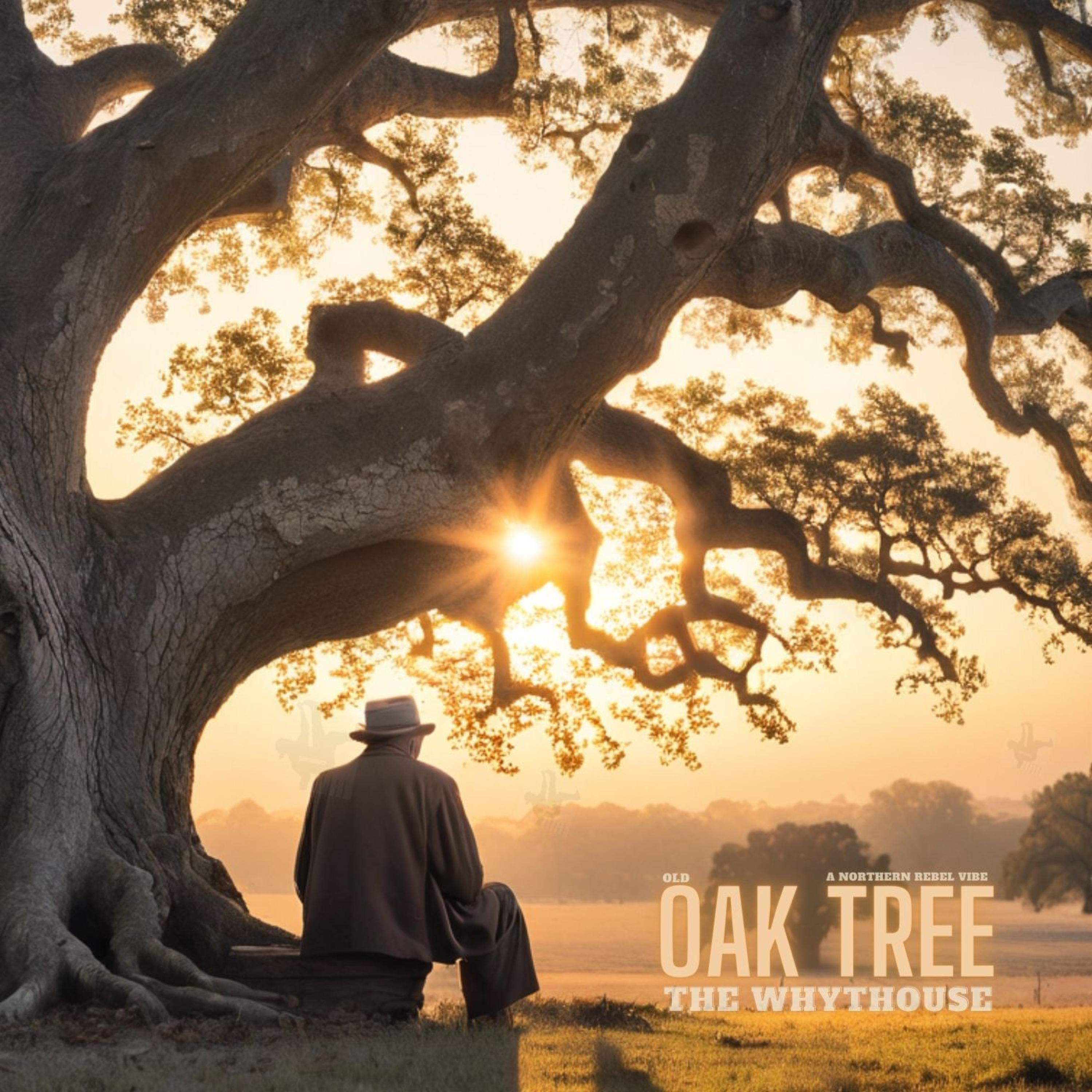 The Whythouse - Old Oak Tree