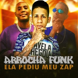 Arrocha Funk Ela Pediu Meu Zap (feat. PezuProdutora & MC GW) Brisa081 & Diego Treloso