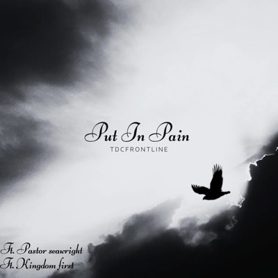 Put In Pain (feat. Kingdom First & Pastor Seawright) - Single