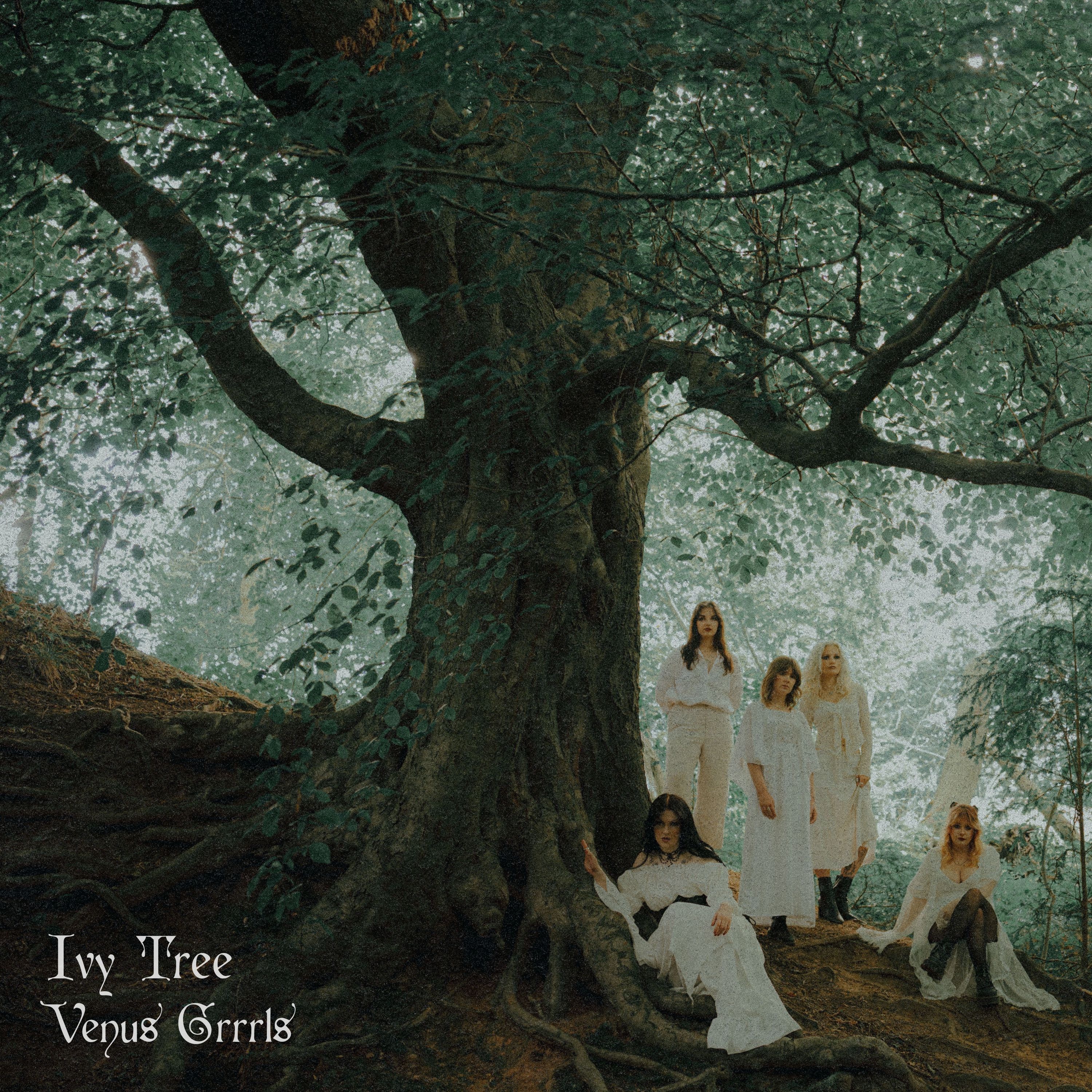 Ivy Tree - Single
