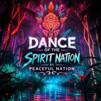 Album cover for Rise Of The North Star by Peaceful Nation