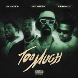 TOO MUCH Dj Hkeem, Boybreed & Zarion Uti