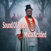Mxta Xcoded - Sound Of Peace