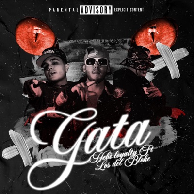 Gata (feat. Los del Bloke) - Single