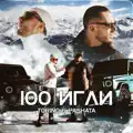 100 игли