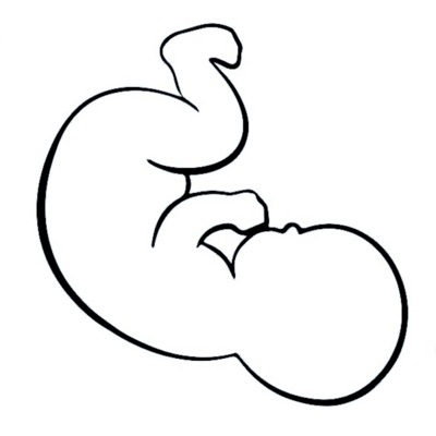 Nato nel 2021 - Single