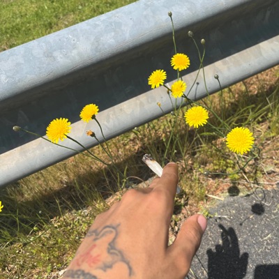 3BG C3 - Vivid Ventin (feat. Laa C3)