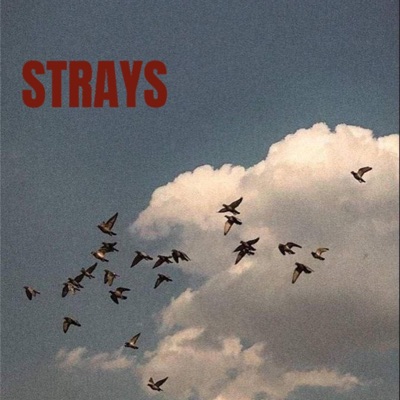 Strays : Side A - EP
