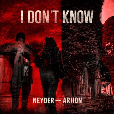 I Don't Know (feat. Ariion) - Single
