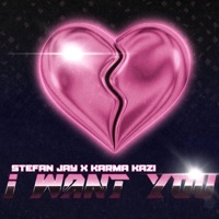 I Want You (feat. Karma Kazi) - Single - Stefan Jay