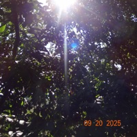 know_u - Single - Facile