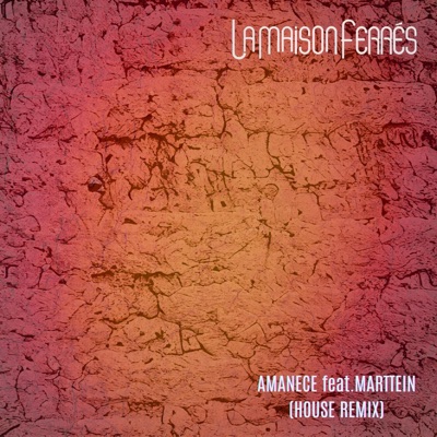 Amanece (feat. MARTTEIN) [House Remix] - Single