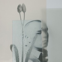 Тет-а-тет - Dose