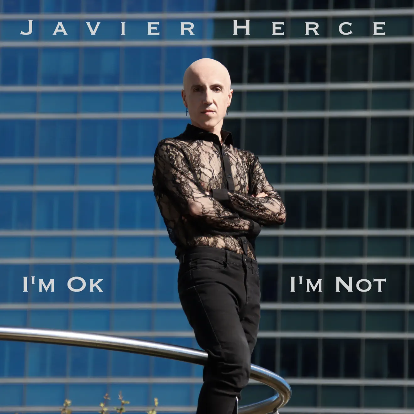 Javier Herce – I’m Ok I’m Not (2024) [iTunes Match M4A]