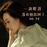 一滴眼泪落在相思树下 - EP - 李英