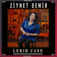 Lekir Cane - Single - Ziynet Demir