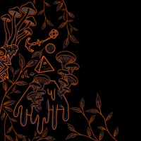 Bhw2000 - Bald Halfwit