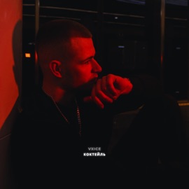 Коктейль VXICE