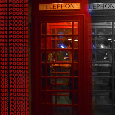 MR POOKIE (feat. Gabriel Miley) - Single