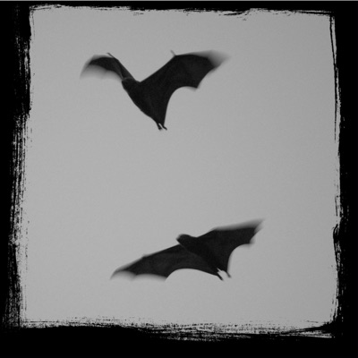 hellboys (feat. valerieblud) - Single