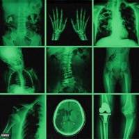 PERFECT TIMING - Single - LONESTAR