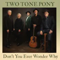 Dont You Ever Wonder Why — Two Tone Pony