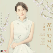 心經心咒 - 王瀟鴿