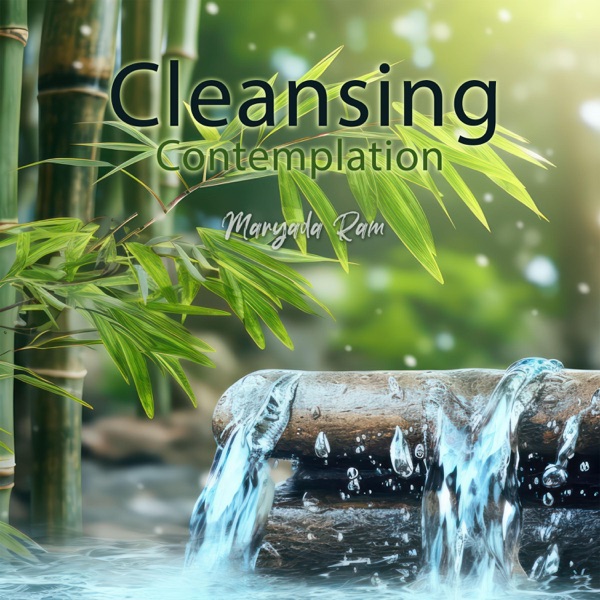 Cleansing Contemplation: Bamboo Water Fountain & Buddha's Healing Music for Inner Serenity, And Energetic Cleansing
