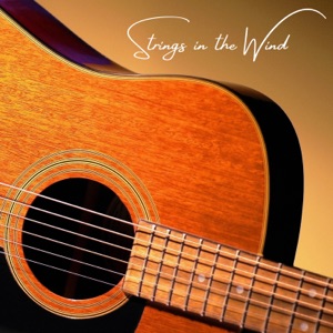 Strings in the Wind