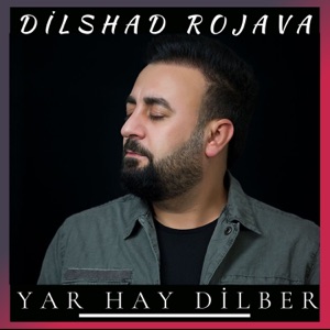 Yar Hay Dilber