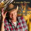 Zé Afranio