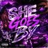 DJ JL DE BAIXO GUANDU - SHE GOES BY