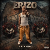 Erizo - Single - Lp King