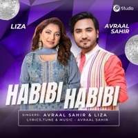 Habibi Habibi - Single - Avraal Sahir