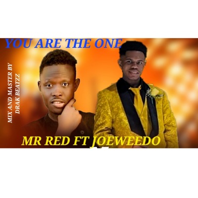 The One (feat. Joeweedo) - Single