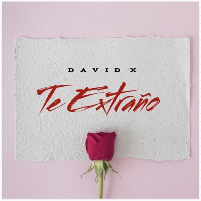 Te Extraño - Single