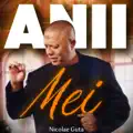 Anii mei