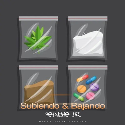 Subiendo & Bajando - Single