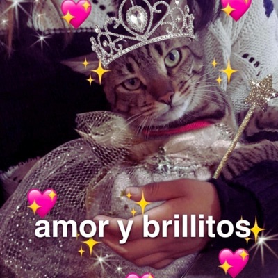 Amor y brillitos :3 - EP