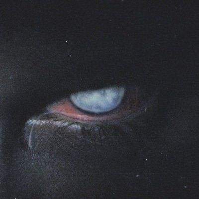 Montagem dos Apaixonados - Single