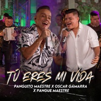 Tú Eres Mi Vida (En Vivo) - Single - Panguito Maestre, Oscar Gamarra & Pangue Maestre