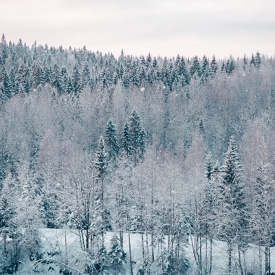 A Quiet Theory - Single