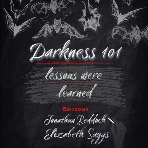 Darkness 101: Lessons Were Learned (Unabridged) cover