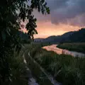 Washed by Rain