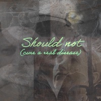 Should Not (Cure A Real Disease) (feat. Dan Bern, Karaugh Brown, Michael McDermott & Erika Nelson) - Single - James O'Brien