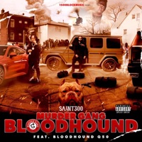 MURDER GANG BLOODHOUND (feat. Bloodhound Q50) [Radio Edit] - Single - Saint300