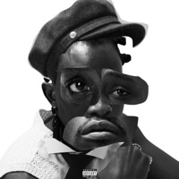 Passport - Dmc Reigns