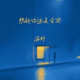 想起你还是会哭 温妤
