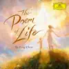 Peng Chen, Daniel Hope, Philipp Schupelius, Shanghai Philharmonic Orchestra  and  Liang Zhang