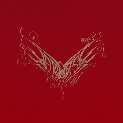 Decontamination complete - Single